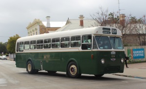 Bus